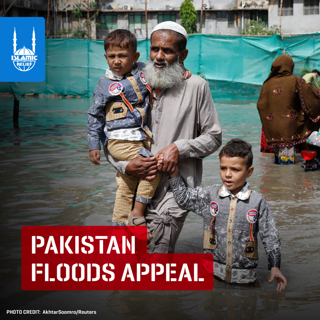 Devastating Flooding in Pakistan: One Year Later