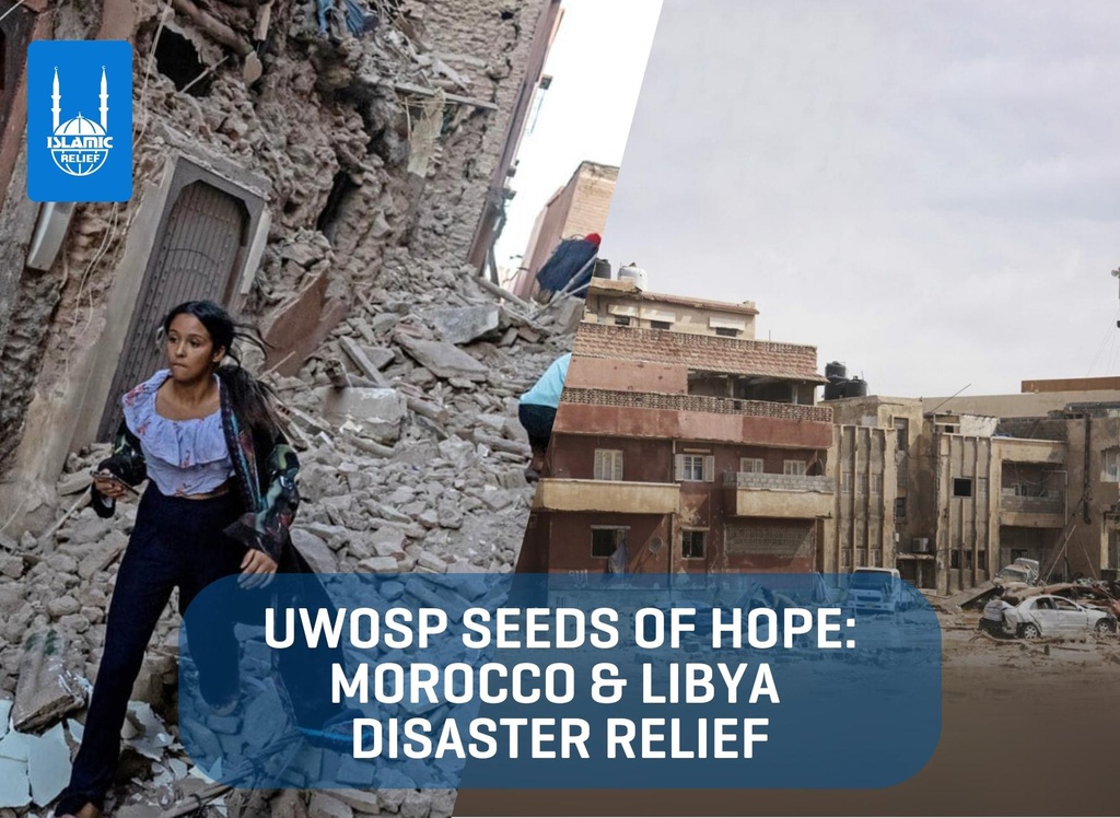 UWOSP Seeds of Hope: Morocco and Libya Disaster Relief