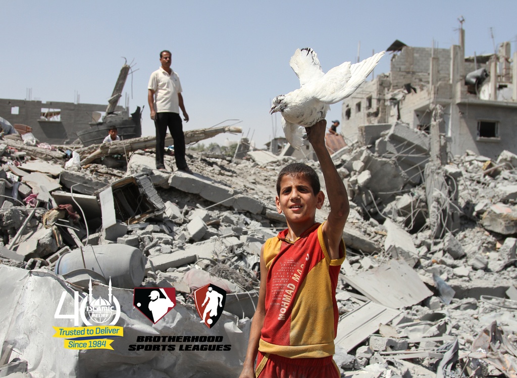 Help BSL Support Gaza Evacuees